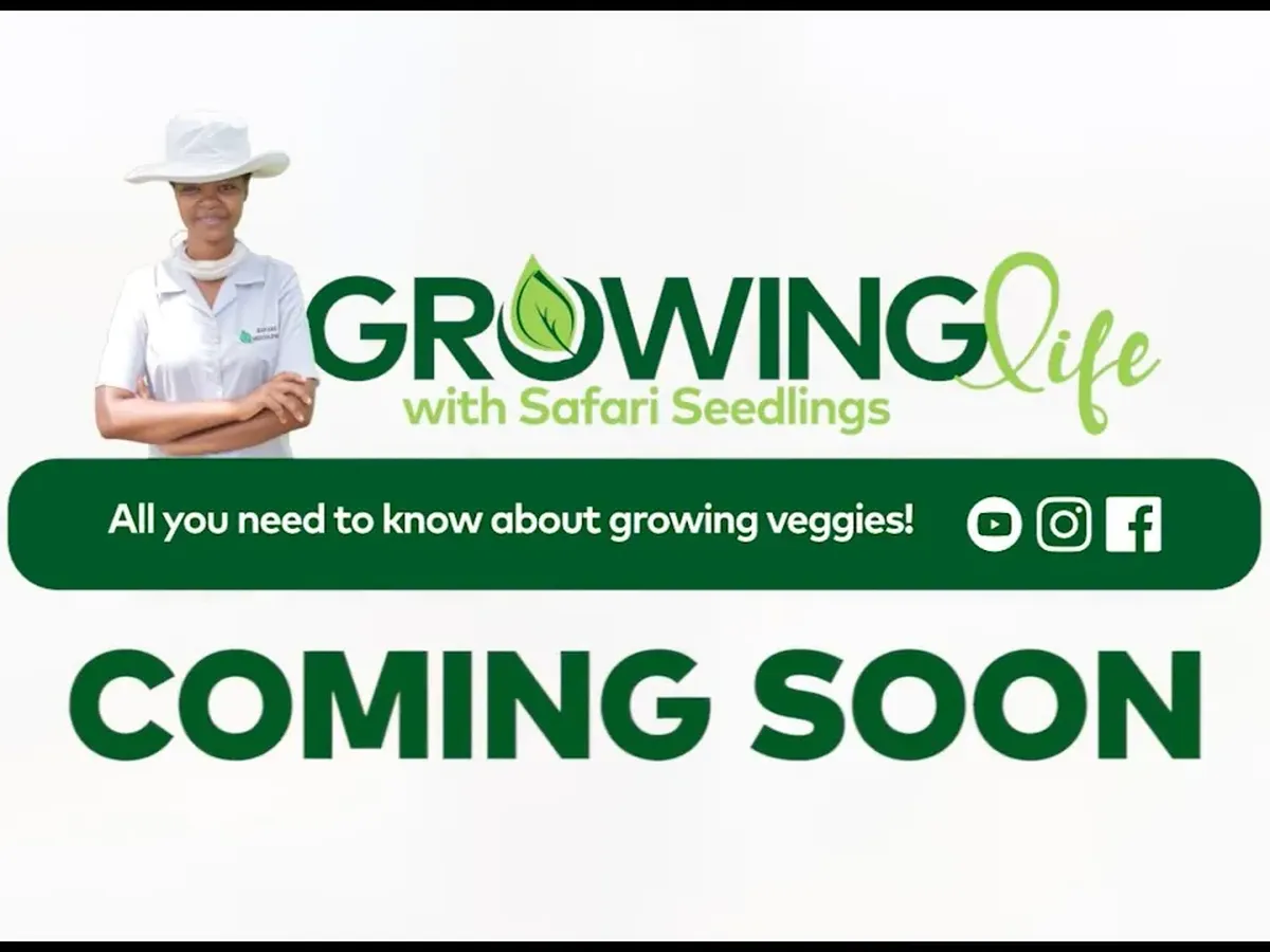 Still from Make huge profit farming vegetables